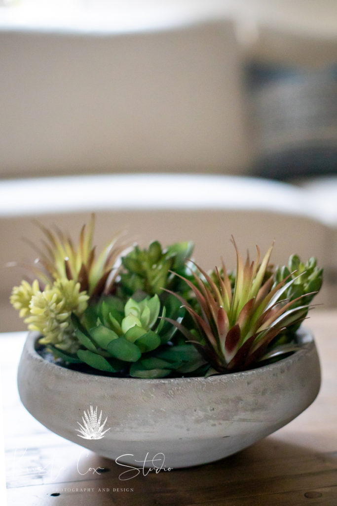 Close up of succulent centerpiece on coffee table in Livingroom.