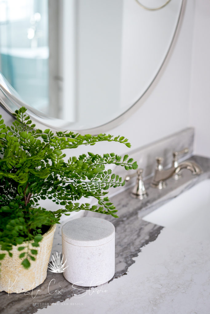 Close up of bathroom countertop, sink and house plant, 